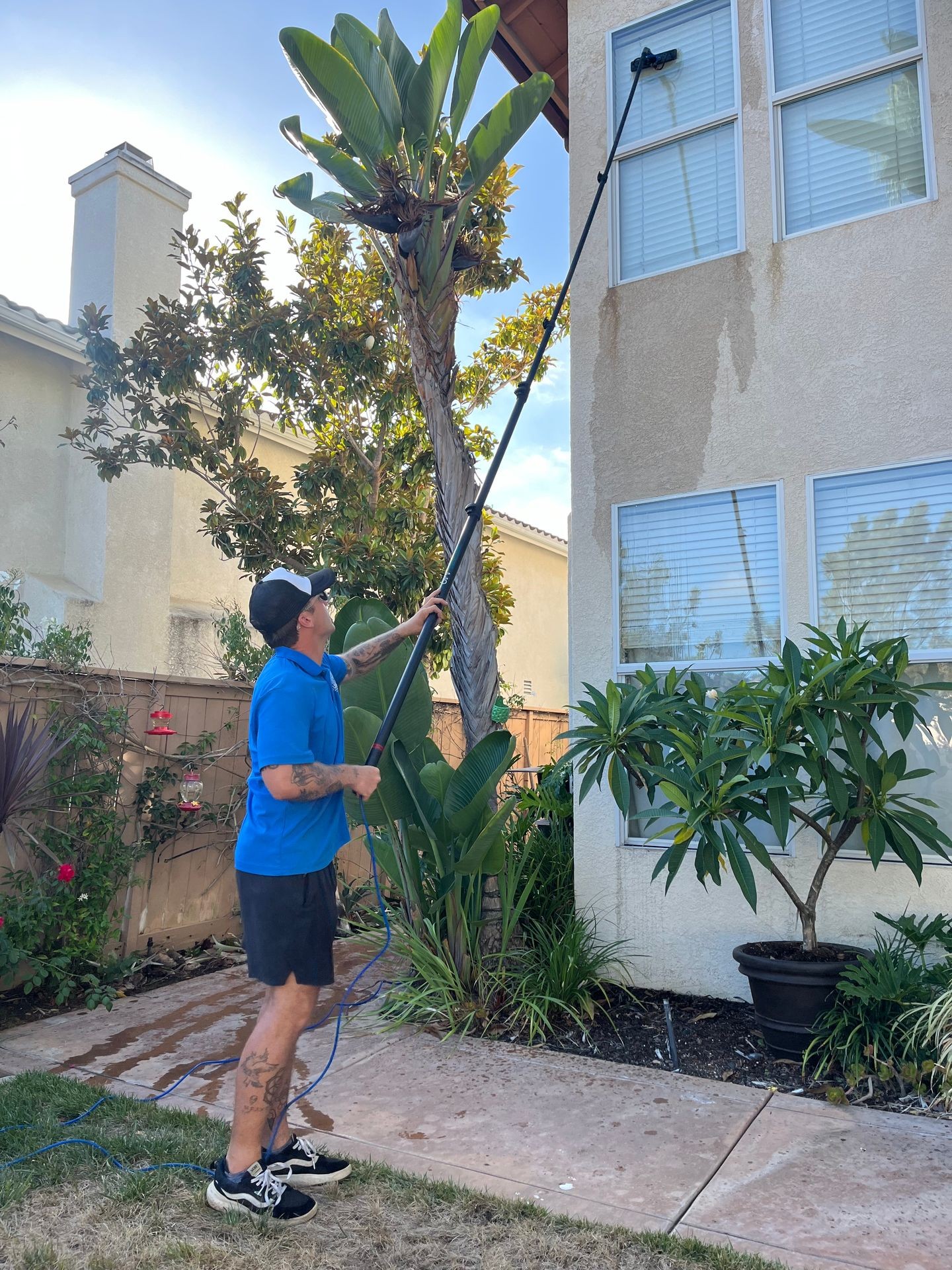 Person using a long pole to clean second-story windows of a house surrounded by plants.